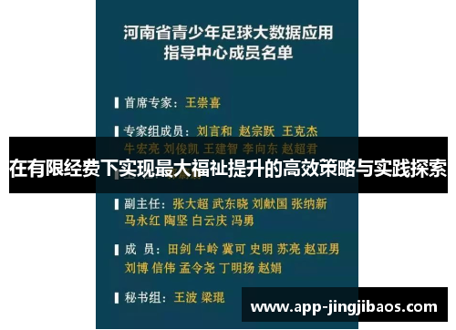 在有限经费下实现最大福祉提升的高效策略与实践探索