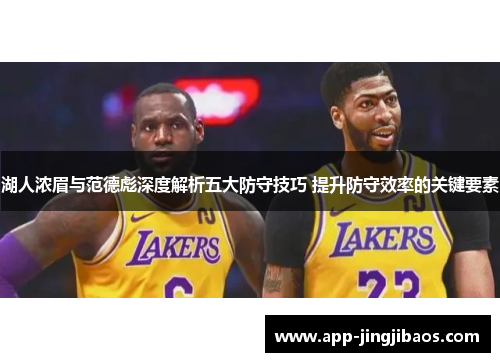 湖人浓眉与范德彪深度解析五大防守技巧 提升防守效率的关键要素