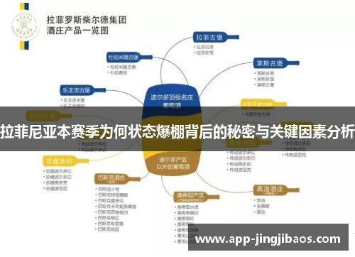 拉菲尼亚本赛季为何状态爆棚背后的秘密与关键因素分析