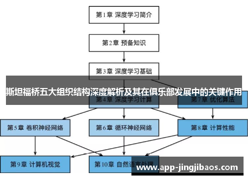 斯坦福桥五大组织结构深度解析及其在俱乐部发展中的关键作用